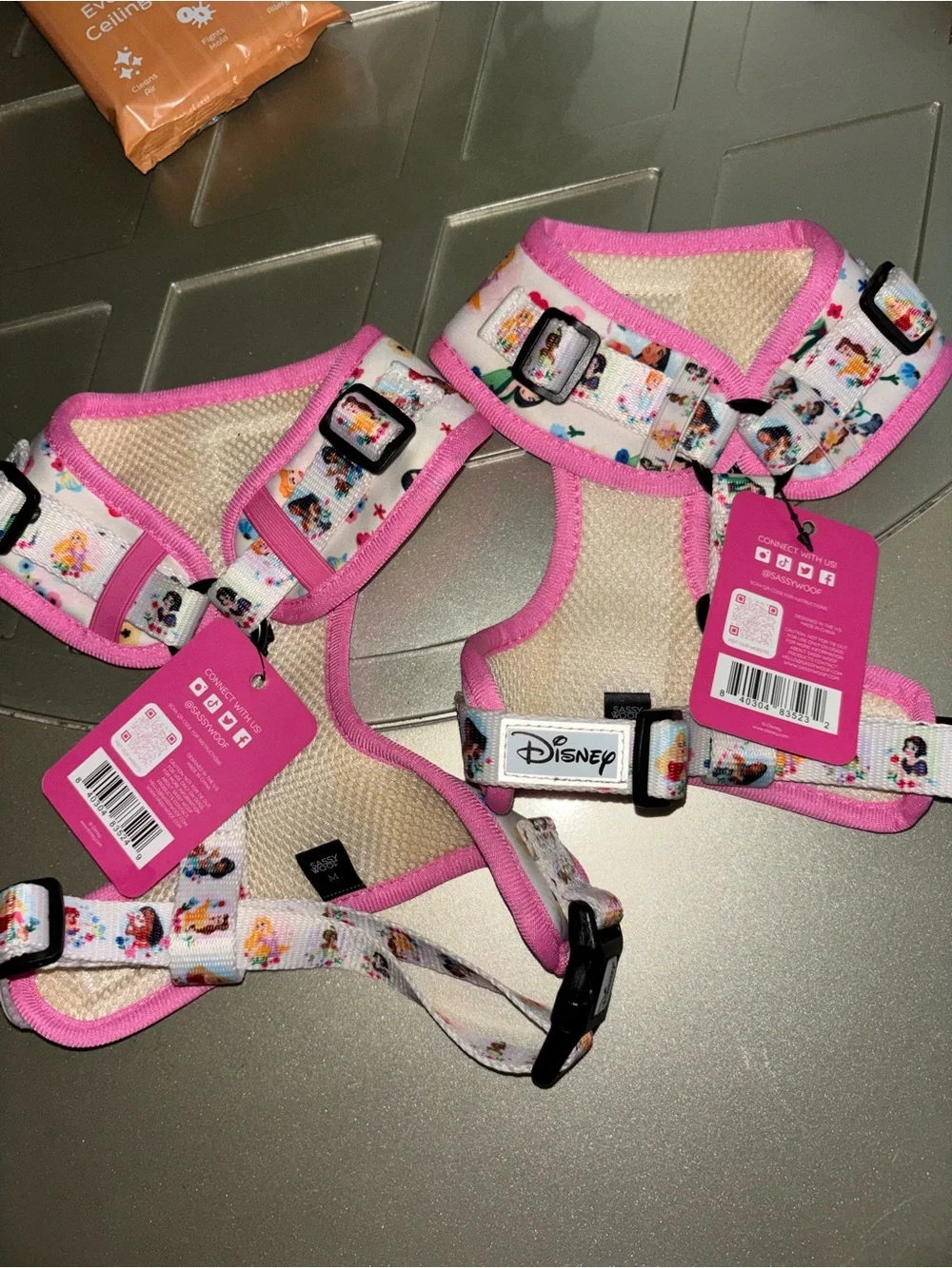 Disney pink dog